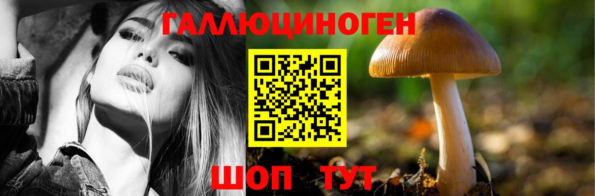 Галлюциногенные грибы прущие грибы  Вход с VPN  дарнет шоп  Дивногорск 